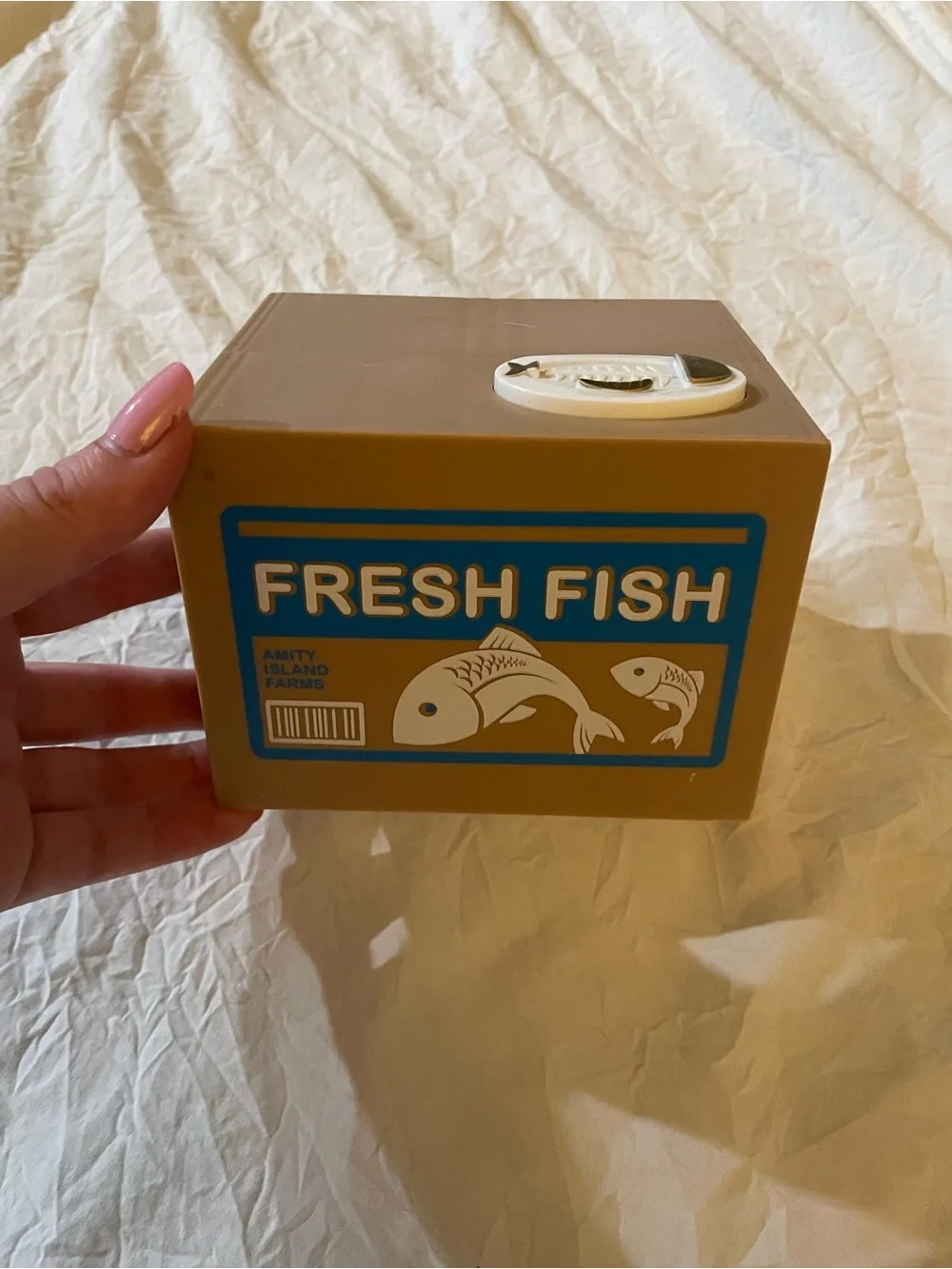 Stealing Cat Piggy Bank - Fresh Fish Brown Cardboard Box Style